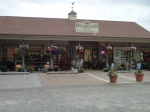 WildwoodNursery3.jpg