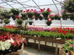 WildwoodNursery4.jpg