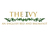 ivy-new-logo-2020-002