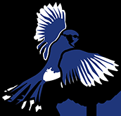 blue-jay-logo