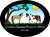 carolina-sunshine-farms-logo
